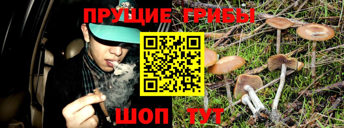 наркошоп  Псилоцибиновые грибы прущие грибы  Вход с VPN  Калач-на-Дону 